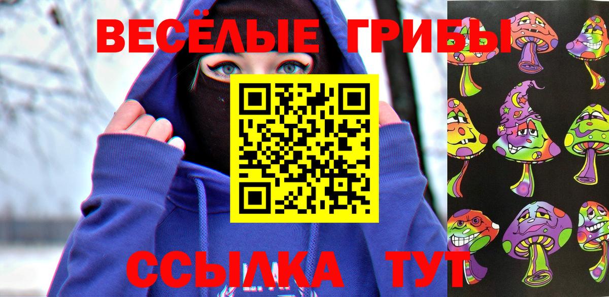 Псилоцибиновые грибы мицелий Тверь