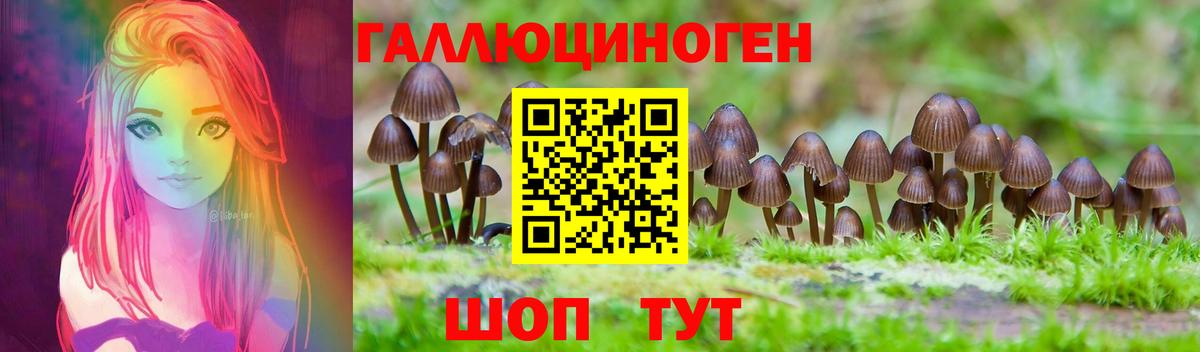 Тверь  Псилоцибиновые грибы прущие грибы  Вход с VPN  Псилоцибиновые грибы Magic Shrooms 